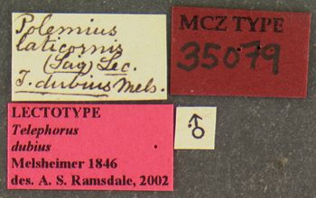 Media type: image;   Entomology 35079 Aspect: labels